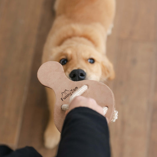 KOALA gioco per cani con bottiglietta "crunch me!"