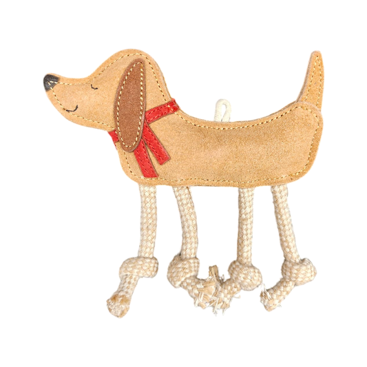 Hündchen mit rotem Schal 🐶🧣
