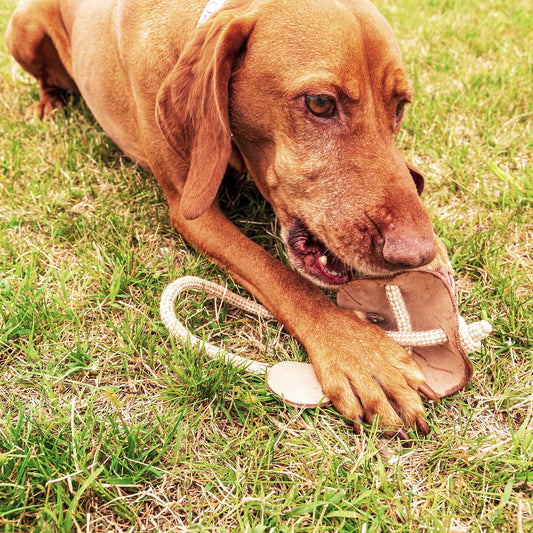 Foglia di cuoio monostrato e corda di cotone e juta