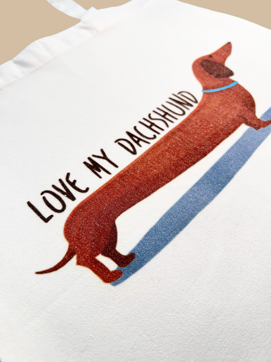 BORSA SHOPPER IN CANVAS