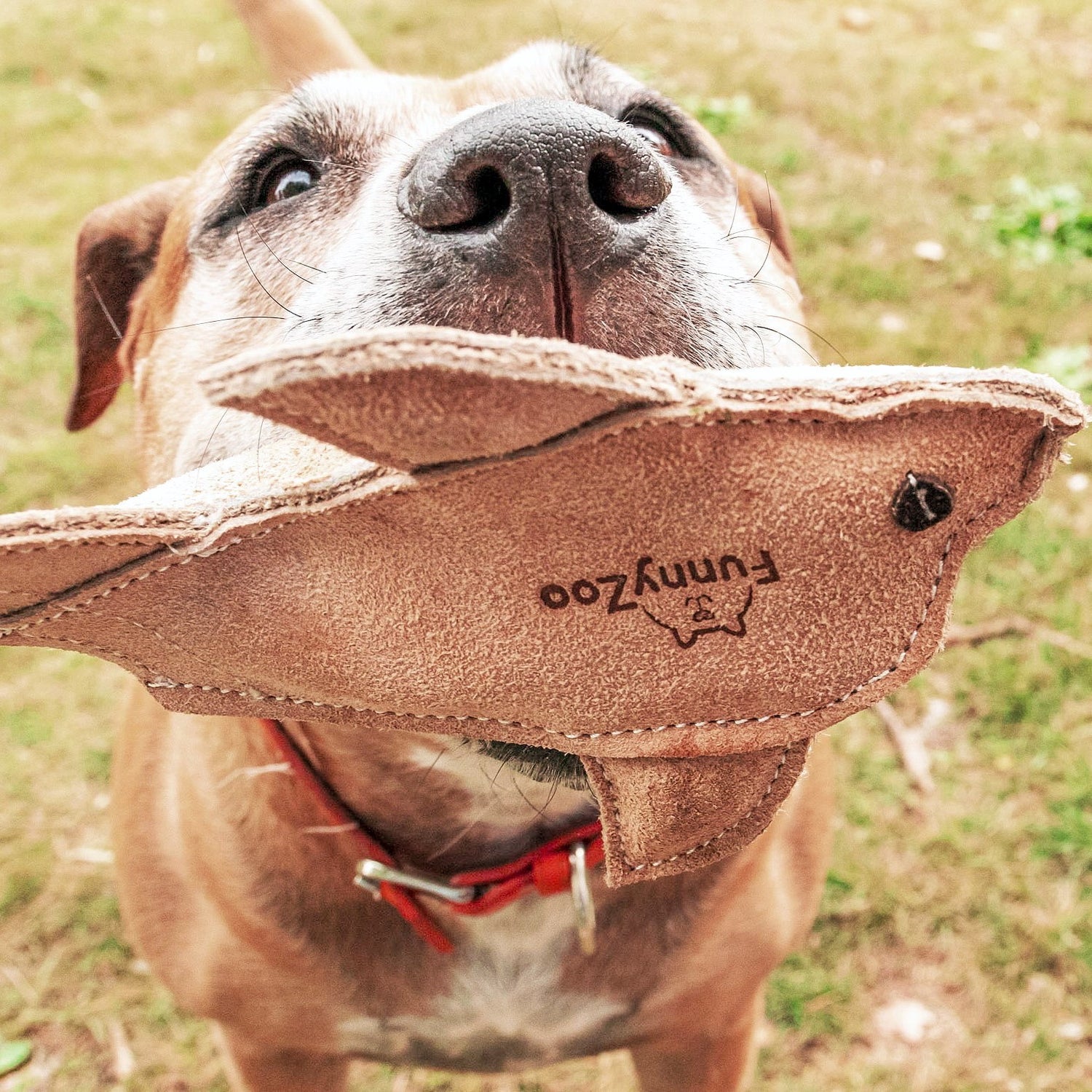 PER TANTO DIVERTIMENTO