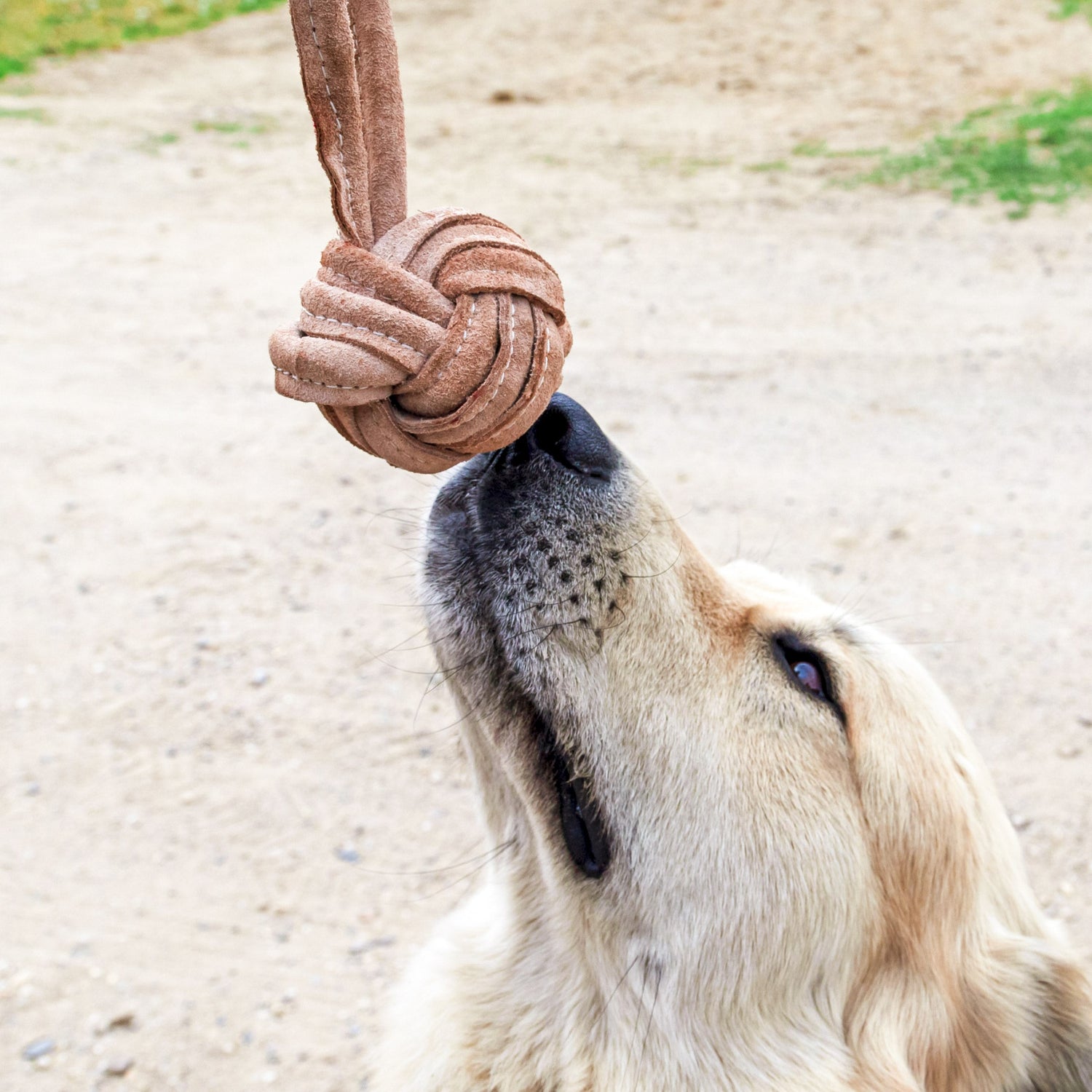 PER GIOCARE INSIEME AL TUO CANE