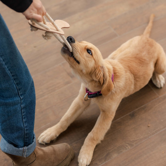 Papaya di cuoio monostrato e corda di cotone e juta