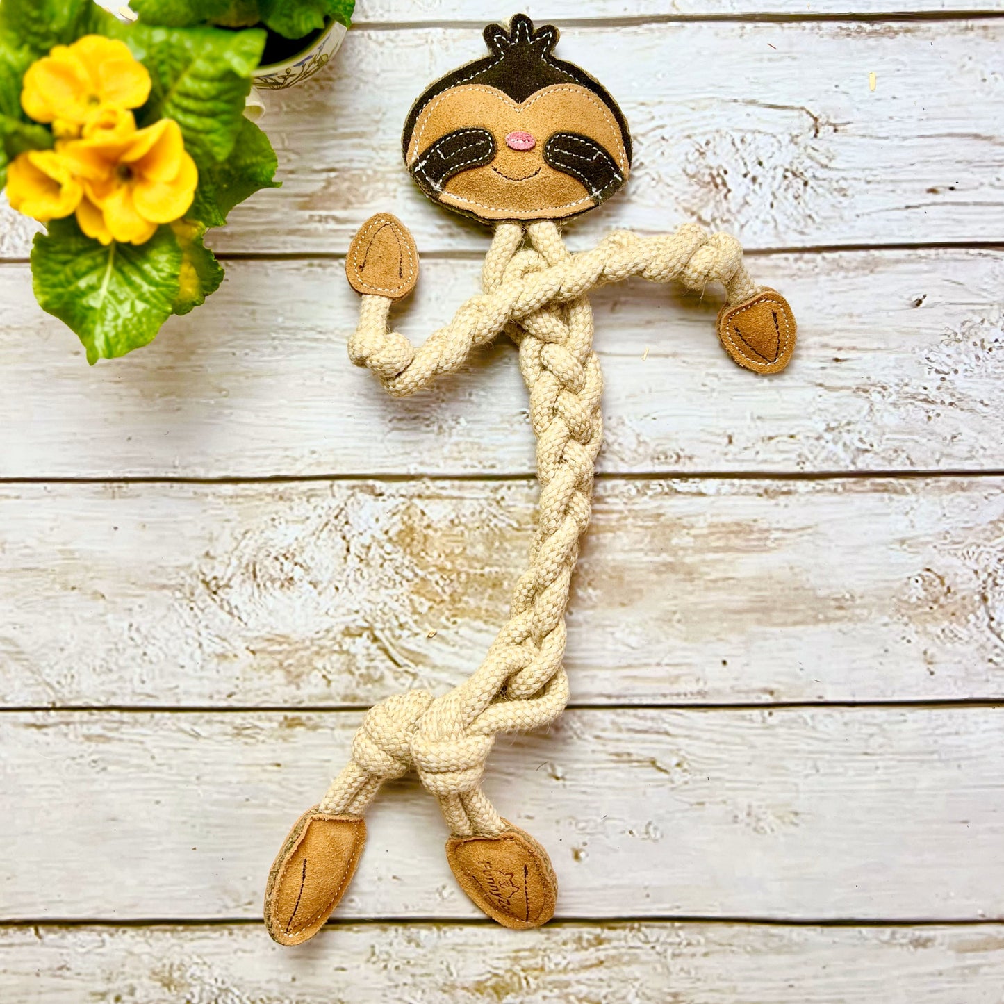 Gioco per cani Bradipo di corde