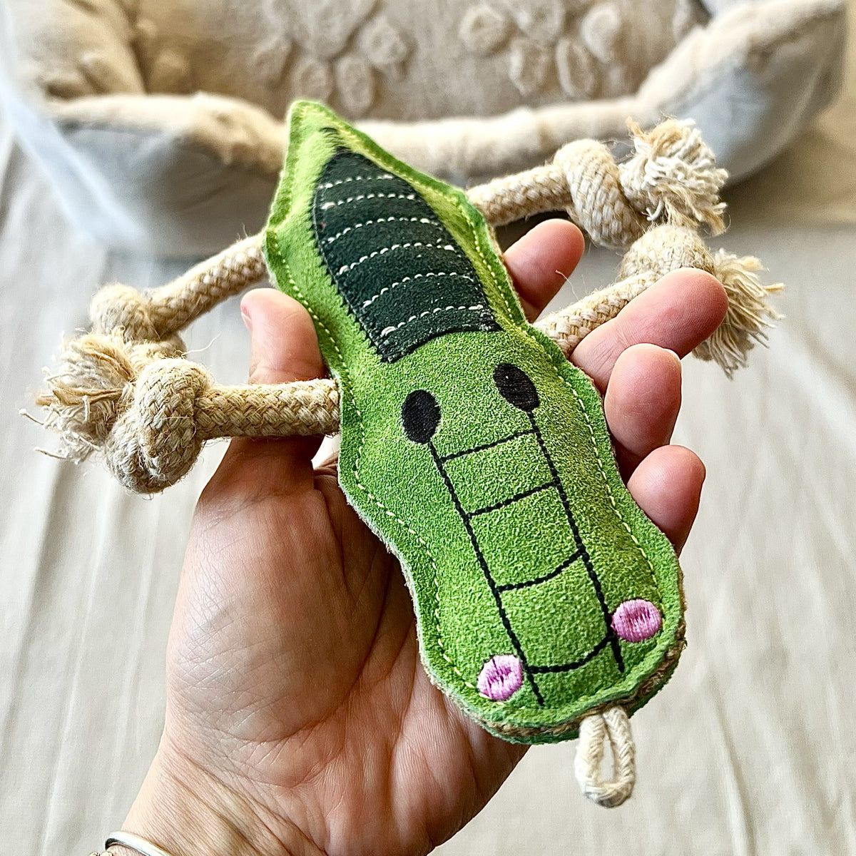 Coccodrillo in pelle scamosciata 🐊