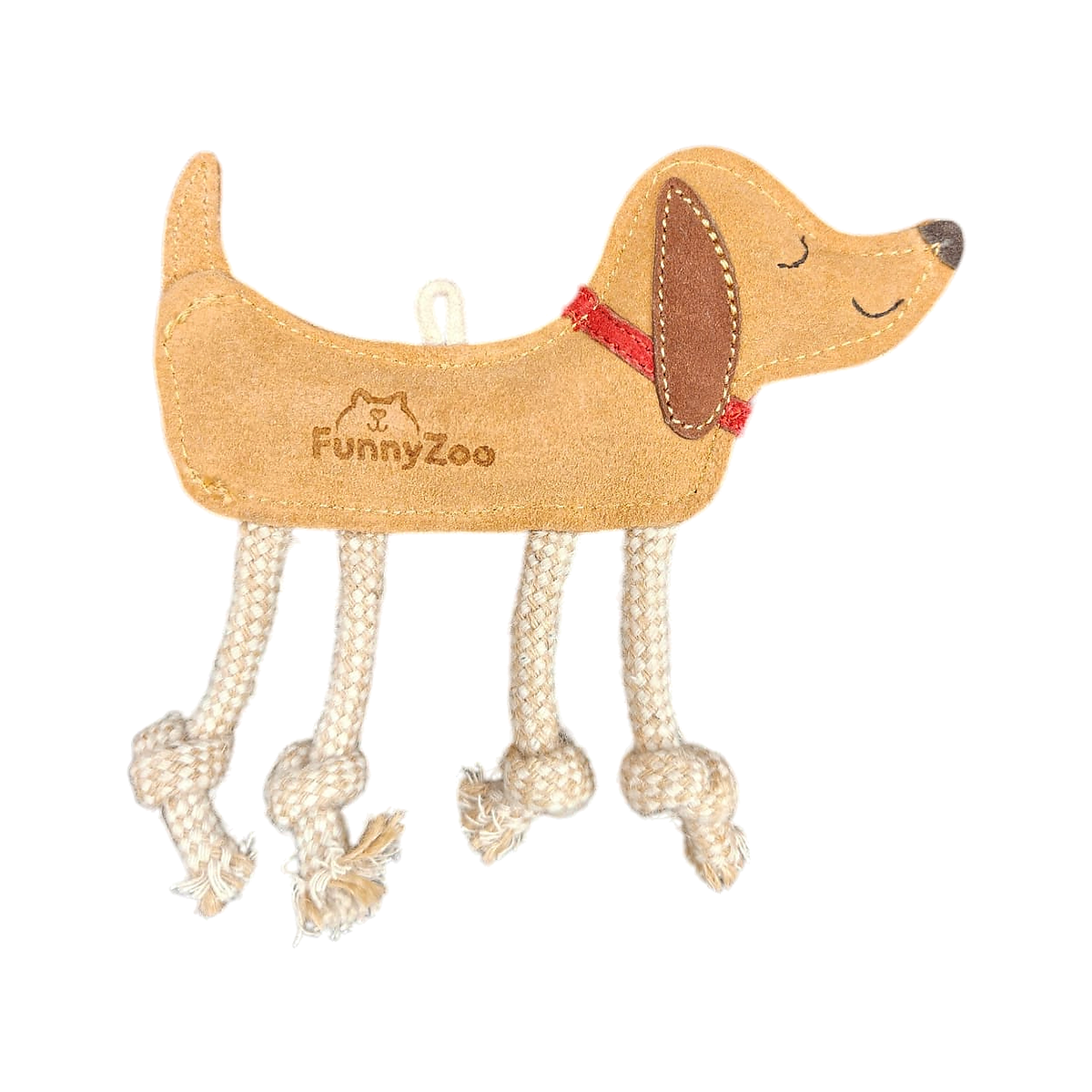Cagnolino con sciarpina rossa 🐶🧣