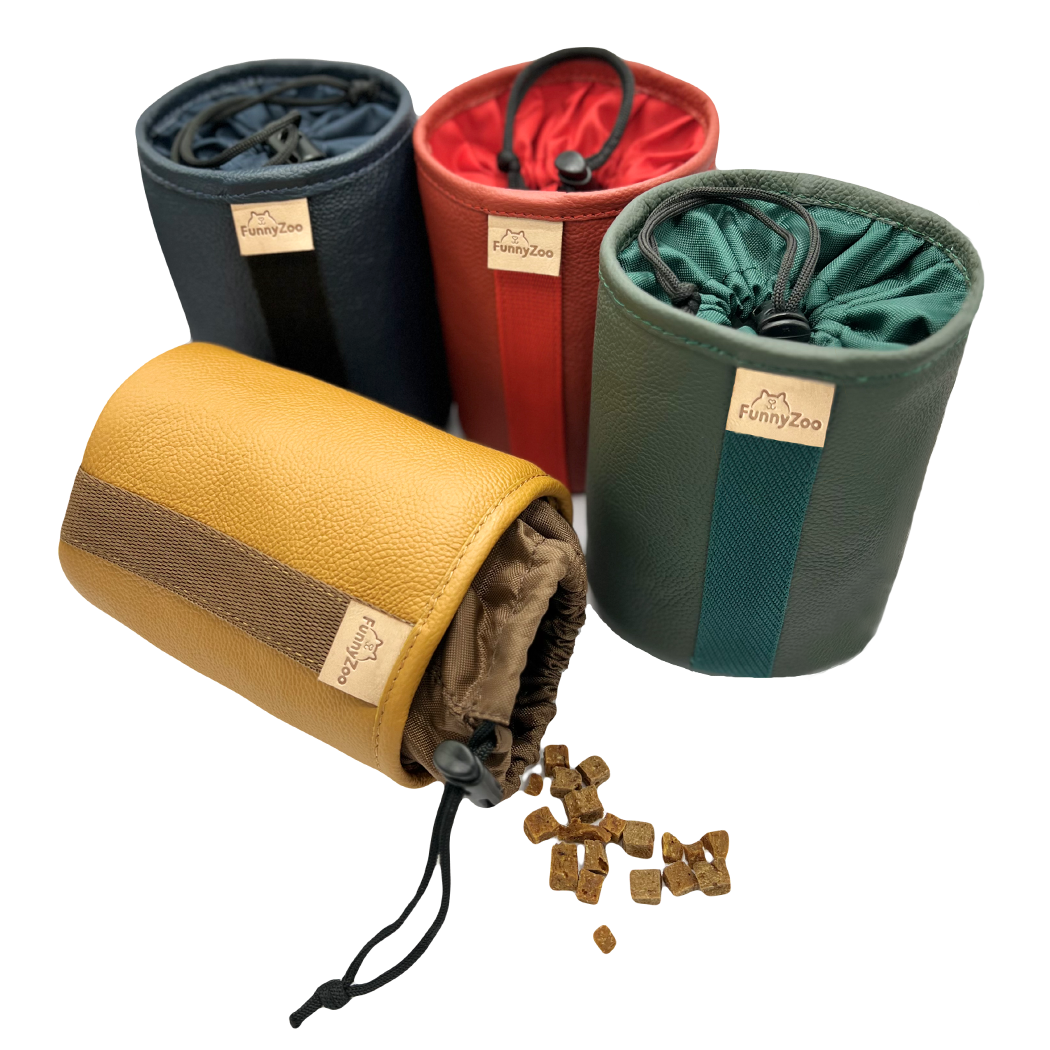 Elegante e pratica borsa portasnack in pelle per cani