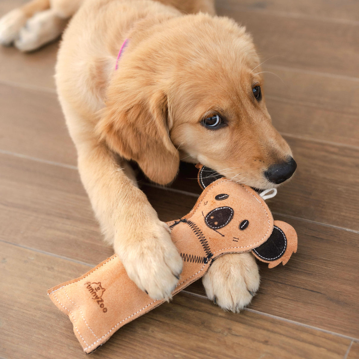 KOALA gioco per cani con bottiglietta "crunch me!"