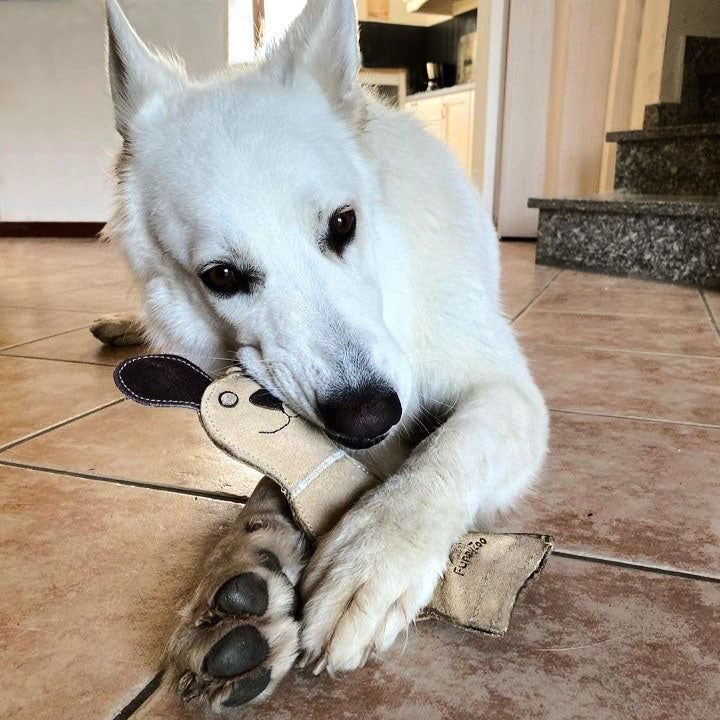 Cane in camoscio con bottiglietta "crunch me!"