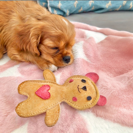  Natürliches Hundespielzeug für kleine Hunde TEDDYBÄR