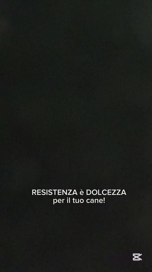 Gioco naturale per cani CUORE NATALE di cuoio