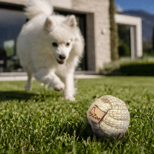 La Mini Rope Ball per cani piccoli 🏐