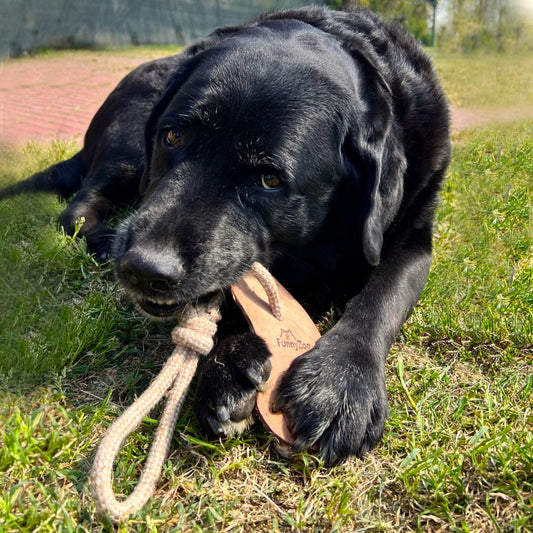 Avocado di cuoio monostrato e corda di cotone e juta