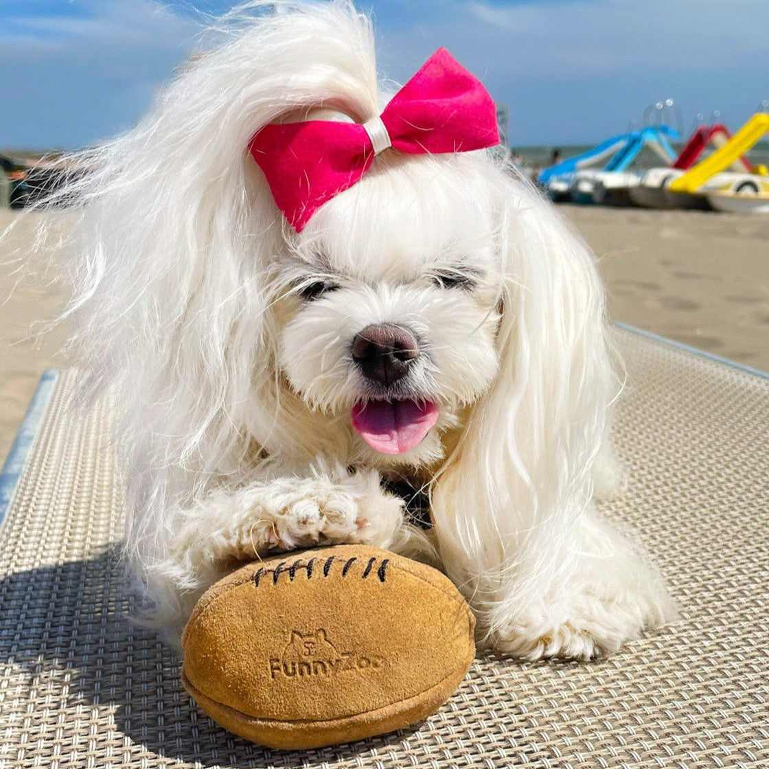 Cocco ball in camoscio