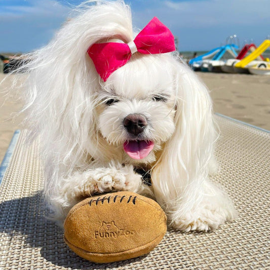 Cocco ball in camoscio