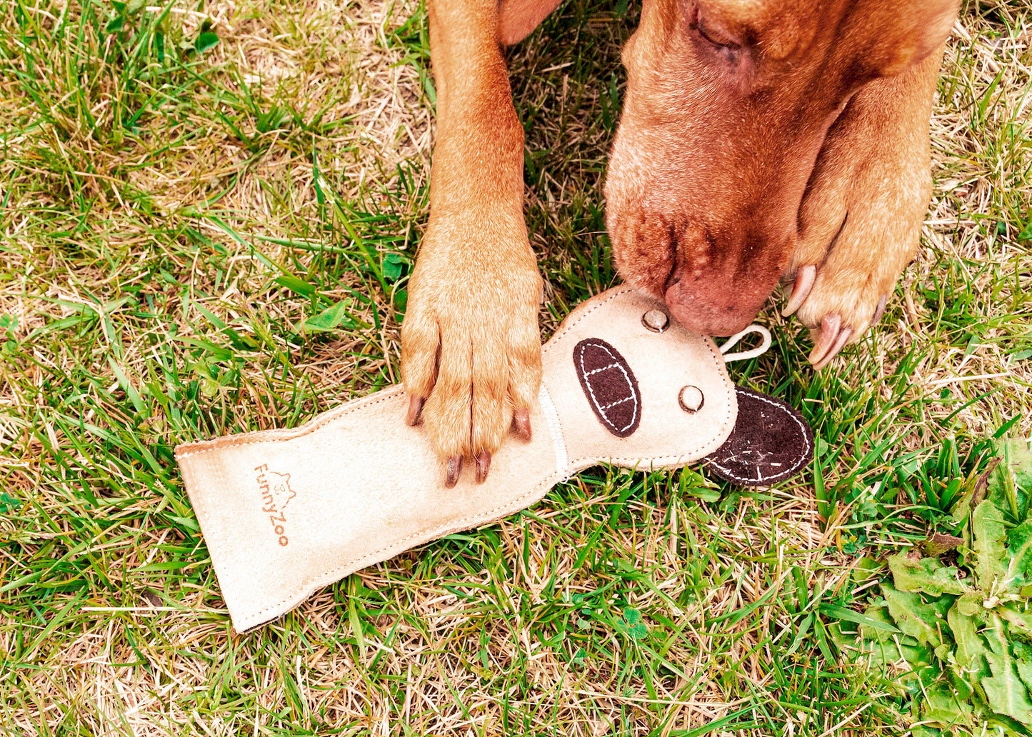 Gatto in camoscio con bottiglietta "crunch me!"
